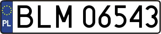 BLM06543