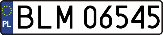 BLM06545