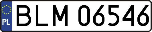 BLM06546