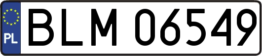 BLM06549