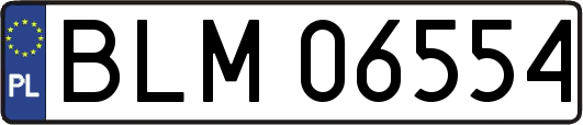 BLM06554