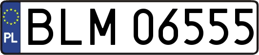 BLM06555