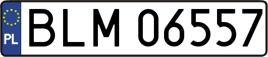 BLM06557