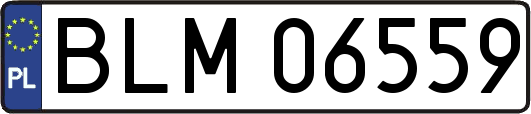 BLM06559