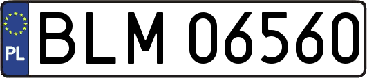 BLM06560