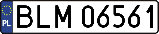 BLM06561