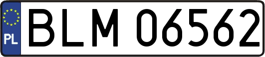 BLM06562