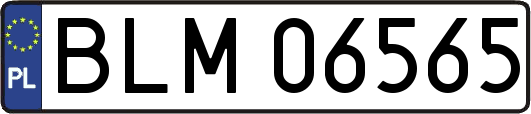 BLM06565