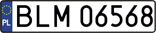 BLM06568