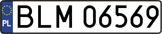 BLM06569