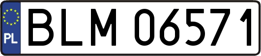 BLM06571