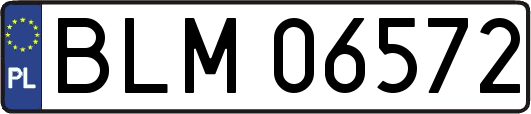 BLM06572