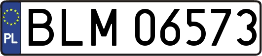 BLM06573