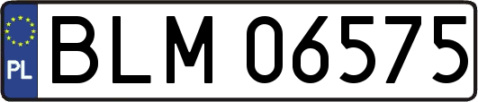 BLM06575