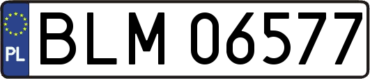 BLM06577