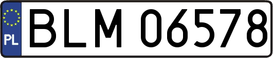BLM06578