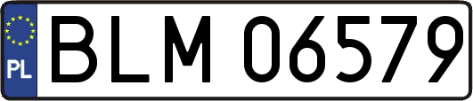 BLM06579