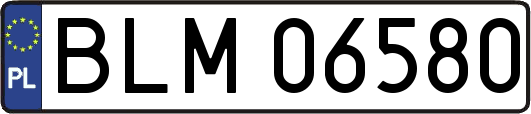 BLM06580