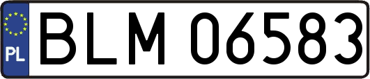 BLM06583