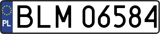 BLM06584
