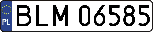 BLM06585