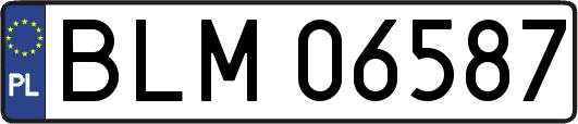 BLM06587