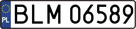 BLM06589