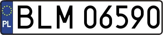 BLM06590