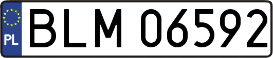 BLM06592