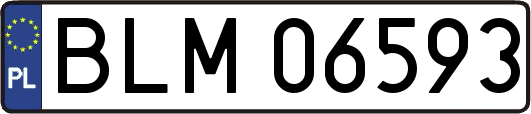 BLM06593