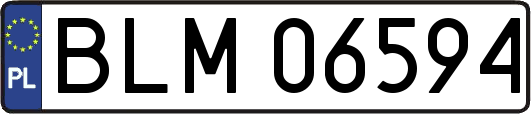 BLM06594
