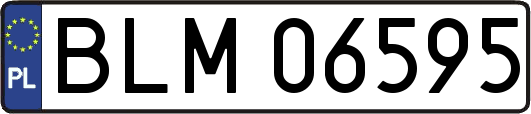 BLM06595