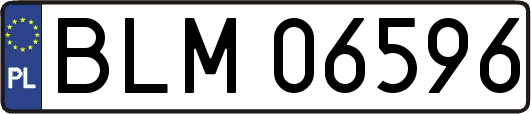 BLM06596