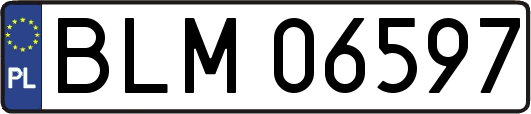 BLM06597