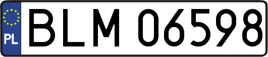 BLM06598