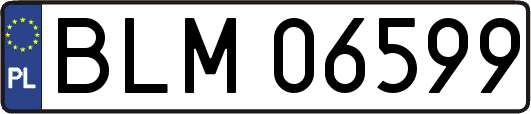 BLM06599