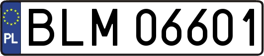 BLM06601
