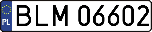 BLM06602