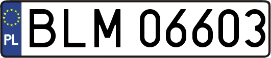BLM06603