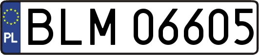 BLM06605