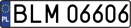 BLM06606