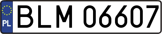 BLM06607