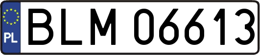 BLM06613