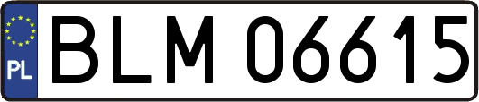 BLM06615