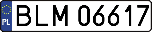 BLM06617