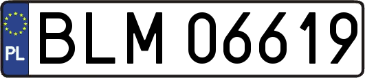 BLM06619