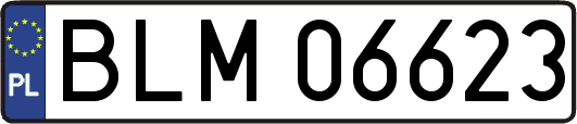 BLM06623