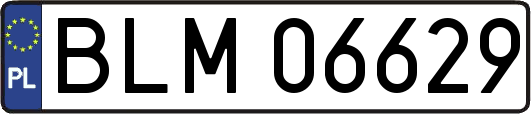 BLM06629
