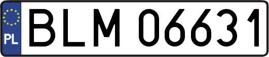 BLM06631