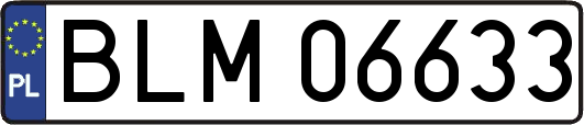 BLM06633